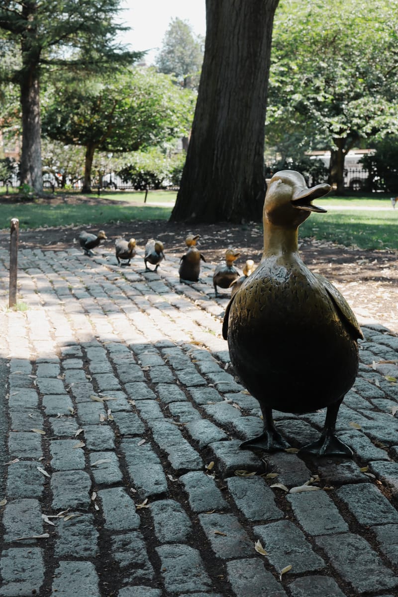 Boston Cities photograph