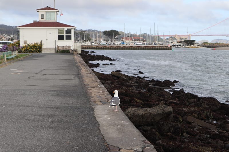 San Francisco Cities photograph