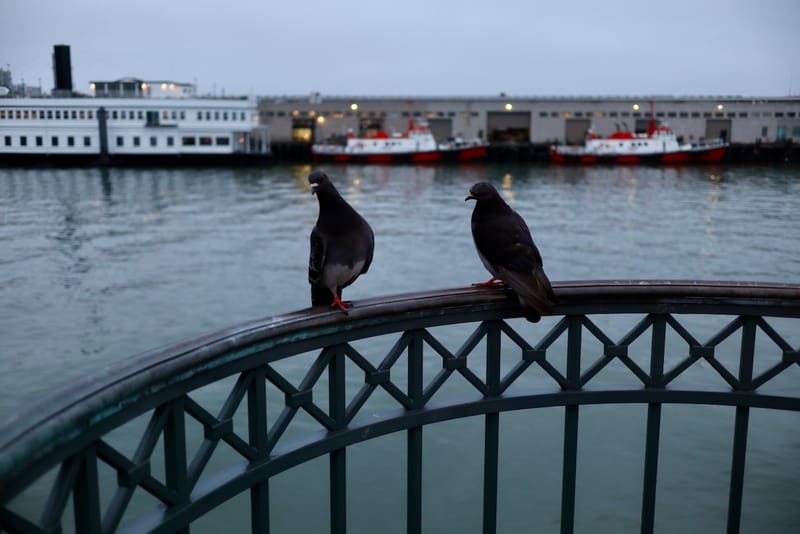 uncategorized photograph