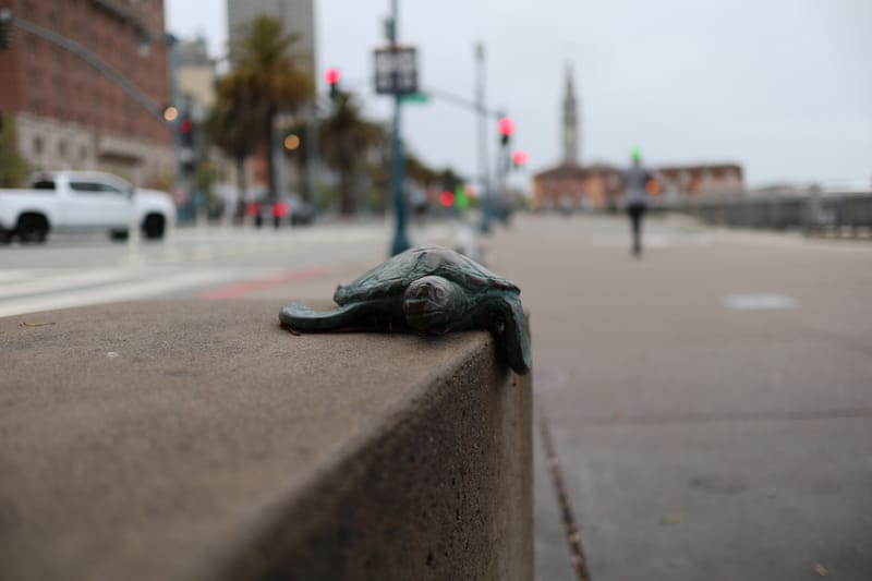 uncategorized photograph