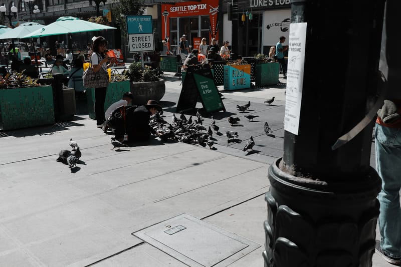 20250726 153514 M6 8524 Street photograph