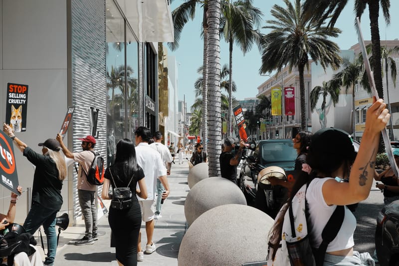 20250817 143646 M6 4721 Street photograph